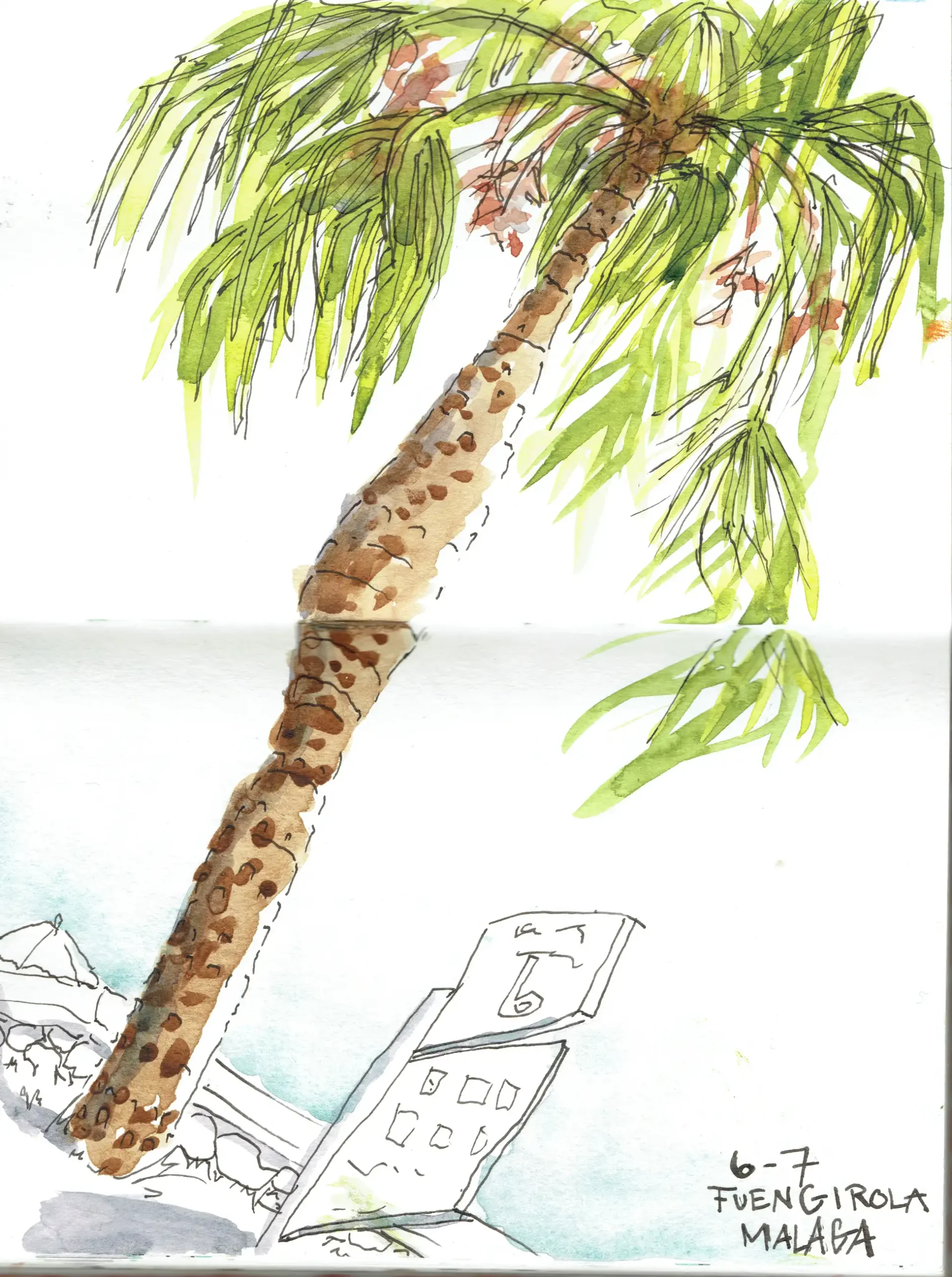Tegning med blæk og akvarel af palme på Fuengirola strandpromenade