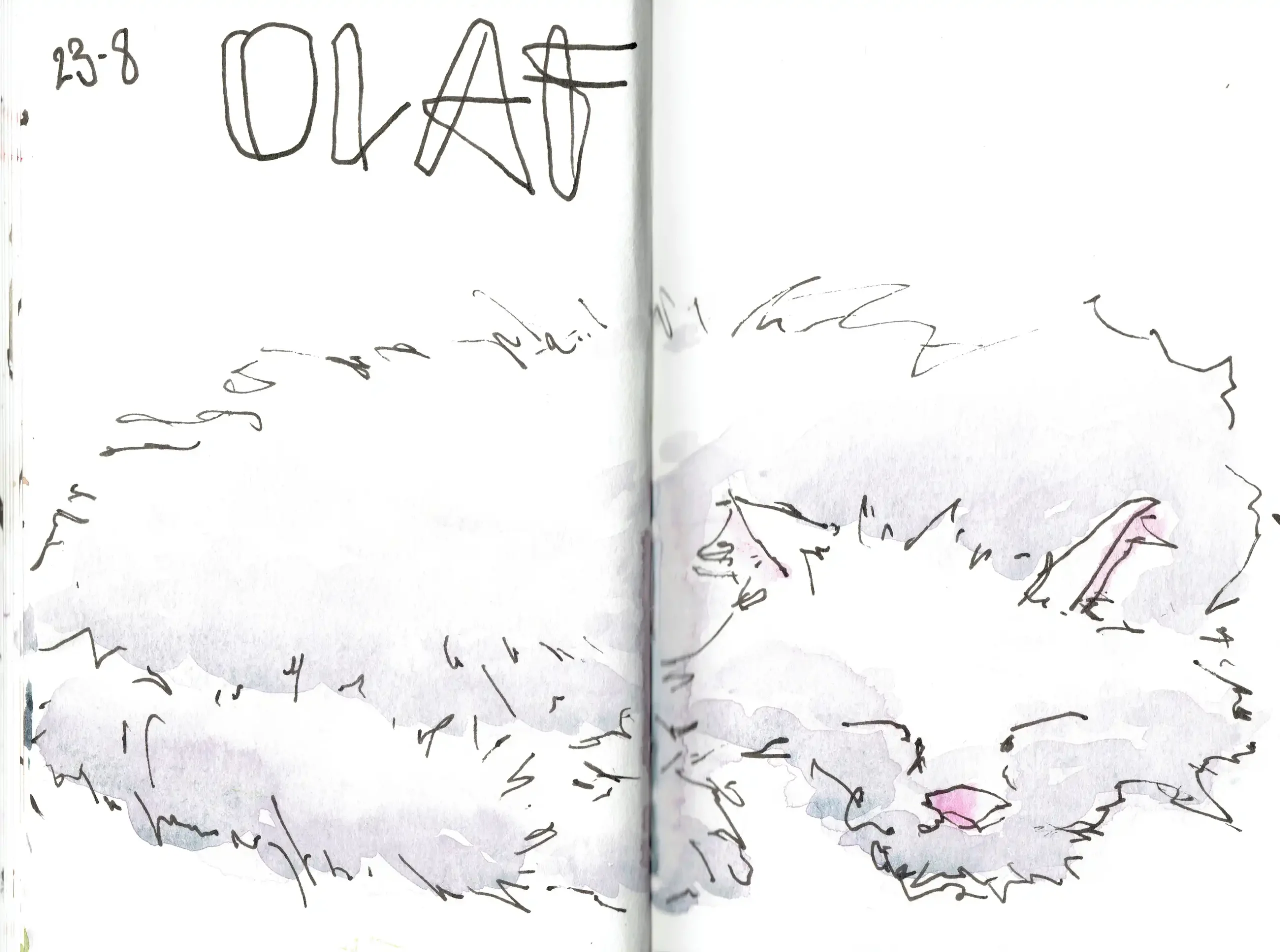 Billede i blæk og akvarel af vores hvide kat Olaf, som sover